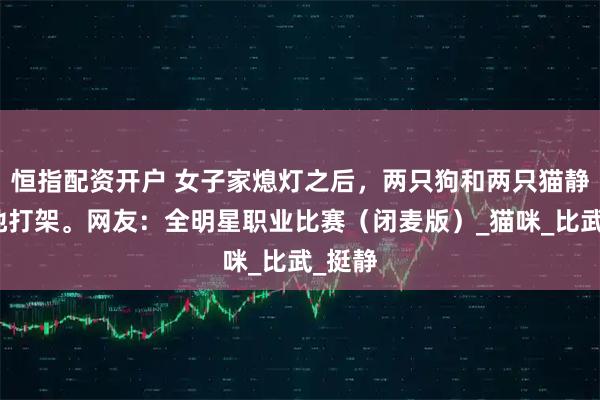 恒指配资开户 女子家熄灯之后，两只狗和两只猫静悄悄地打架。网友：全明星职业比赛（闭麦版）_猫咪_比武_挺静