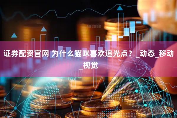 证券配资官网 为什么猫咪喜欢追光点?_动态_移动_视觉
