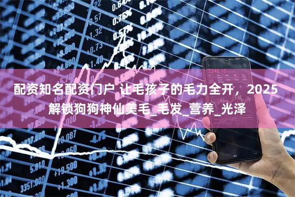 配资知名配资门户 让毛孩子的毛力全开，2025 解锁狗狗神仙美毛_毛发_营养_光泽