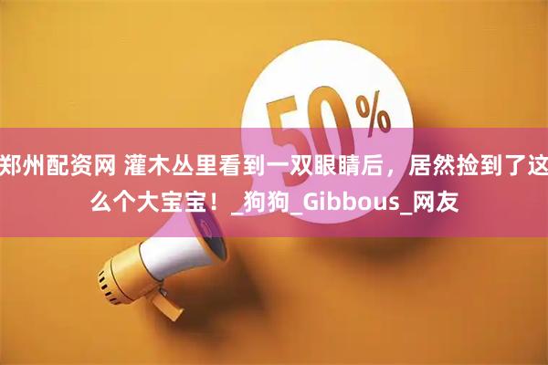 郑州配资网 灌木丛里看到一双眼睛后，居然捡到了这么个大宝宝！_狗狗_Gibbous_网友