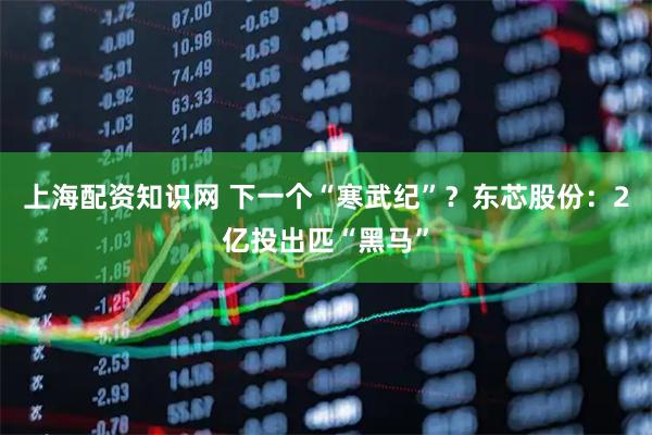 上海配资知识网 下一个“寒武纪”？东芯股份：2亿投出匹“黑马”